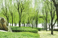 生物除臭技术问世掀起污水处理新浪潮